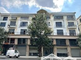 chính chủ bán liền kề đảo dừa vinhomes ocean park 2 | 64m | sổ đỏ | 10,5 tỷ 