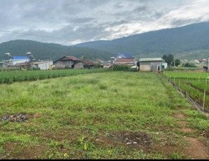 bán 860m2 đất hiệp an view núi voi, gần đà lạt, rộng 15m giá chỉ 4.5tỷ, quá đẹp xây biệt thự vườn