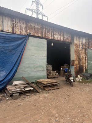 cho thuê kho, đất trống 1000m2 1000m2 tại thoại ngọc hầu, 55 triệu vnd