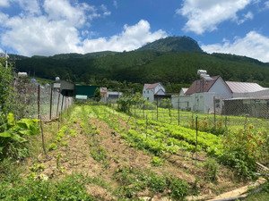 bán đất 468m2 ngang 12m tại hiệp an, view núi voi trực diện, cách đèo prenn chỉ 10phút giá 4.99tỷ