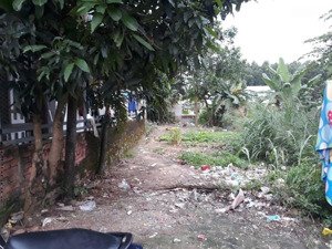 cần tiền ra gấp lô đất 152.5m2 giá chỉ 3t7 tt long thành gần sân bay, full thổ cư sổ sẵn.