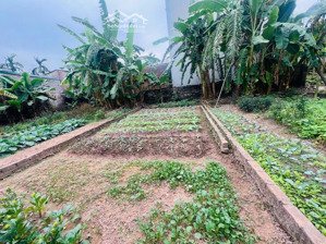 bán đất 68m dương quang , đường thông bàn cờ, gần hồ điều hòa, giá chỉ 2,9 tỷ