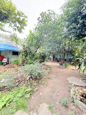 đất gò vấp 153m2, 9x17m, thống nhất gần cityland nguyễn văn lượng, lotte, chợ xóm mới - 1 đời chủ