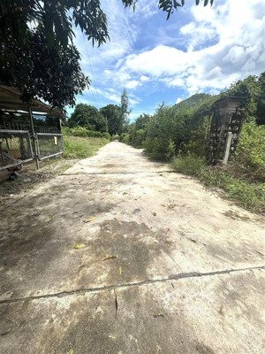 bán đất thôn phước điền phước đồng, nha trang 2.395,3m², ngang 9,3m giá 60 tỷ