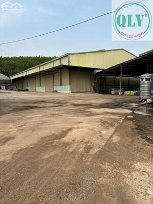CHO THUÊ ĐẤT VÀ NHÀ XƯỞNG – VĨNH TÂN, VĨNH CỬU, ĐN – 5.000m²
