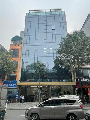 cho thuê tòa 7 tầng lô góc 3 mặt tiền quang trung - lê trọng tấn vị trí vàng. dt: 200m2. mt: 16m