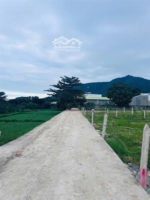 bán đất phước điền, phước đồng, nha trang 2.011m², ngang 9,4m gần dự án sun group