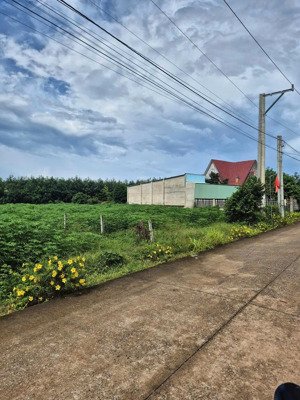 lô đường nhựa siêu đẹp cách mt dh507 50m