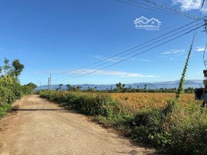 bán đất tại xã tân văn, lâm hà, lâm đồng, 350 triệu, 140m2