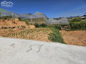 BÁN ĐẤT SỔ RIÊNG XÂY DỰNG VIEW CAO THOÁNG ĐƯỜNG CAO THẮNG