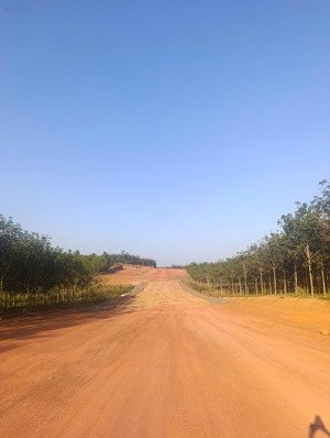 bán đất thổ cư bình phước mặt tiền đường xuyên tâm 32m