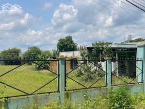 CHÍNH CHỦ CẦN BÁN ĐẤT MT, ĐƯỜNG NHỰA TẠI XÃ THÔNG HỘI, CỦ CHI . kế bên nhà hàng Hồng Đào