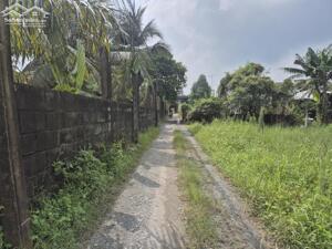 bán đất siêu dài giá tốt 5x50m ,thổ cư, xã Hòa Khánh Đông, Đức Hòa, Long An. giá 1,4 tỷ.