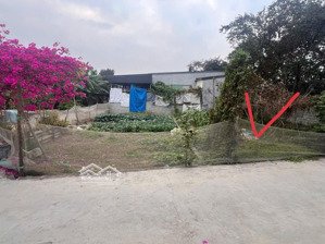 bán lô đất 72,4mv chính chủ tại thôn câu hạ a quang trung ( an quang ) an lão hp