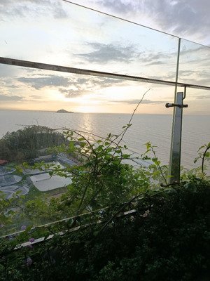 bán gấp shophouse 96m2 giá ưu đãi 5,387 tỷ tại flamingo hải tiến, thanh hóa