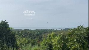 đất nhìn ra lòng hồ trị an có 100m2 thổ cư, mặt tiền 60m, đường xe hơi