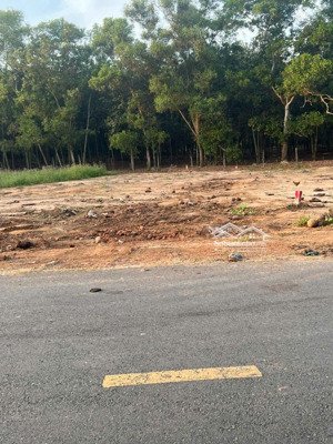 đất ngay chợ tự phát, chánh phú hoà, bến cát, bình dương