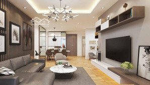 em ánh tổng hợp quỹ căn hộ 3 ngủ chung cư capital elite cần chuyển nhượng gấp