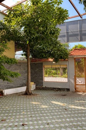 cho thuê biệt thự sân vườn mặt tiền đường số 42, bình trưng đông, quận 2 ngang 7m .vị trí kd