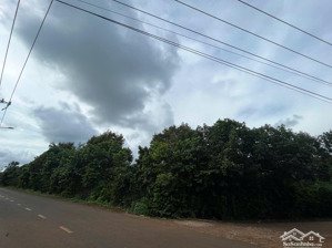 2 mặt tiền đường nhựa vuông vức đẹp vườn sầu riêng full hồng