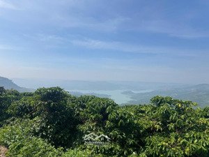 ( ngộp) đất view sông đồng nai sẵn sổ , sẵn thổ cư giá tốt