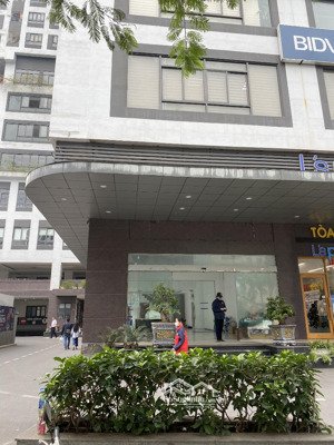 siêu đẹp!!! cho thuê mbkd phố trần quang diệu cực đông dân sinh, văn phòng, 80mx2t - mt 5m