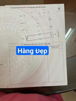 nhà 5 tầng đường 2/9 gần công viên apec,khu víp bình minh.. s= 125( 5x25) giá: 25.5 tỷ