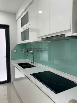 cho thuê căn hộ d-homme quận 6 căn góc hiếm view quận 1 giá chỉ 19tr/tháng