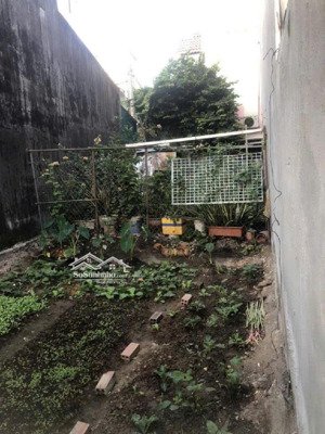 bán đất hẻm xe hơi thông p phú hữu quận 9 70m2 4x17m nở hâu sổ hồng riêng 