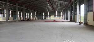 cho thuê kho dt: 20.000m2 mới đẹp, pccc tự động tại thạnh hóa, long an, giá thuê: 75k/m2