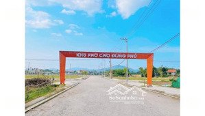 chuyển ra nước ngoài sinh sống cần bán gấp lô đất khu chợ đông phú - quế sơn - quảng nam