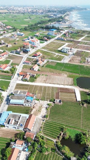 - lô đát gần biển, sẵn sổ đỏ mà giá chỉ hơn 1 tỷ/lô