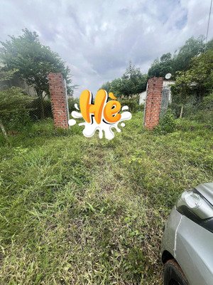 khách cần bán gấp lô đất 12x93m view hồ dầu tiếng giá 1,75 tỷ, thương lượng