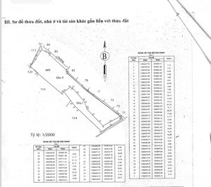 bán đất tại xã tân hiệp, 210 tỷ, 8077 m2, hóc môn, hcm