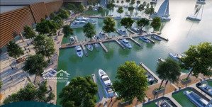 chủ bán bt elitte1 căn góc 12x20-15,5 tỷ đã có nhà view công viên, sông thời điểm đầu tư đăng là có