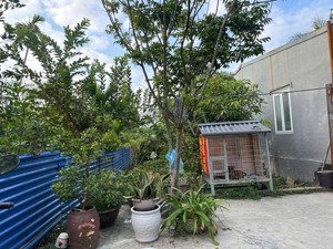 bán lô đất 103mv chính chủ tại thôn quyết tiến an thắng an lão ( xã an lão ) hải phòng