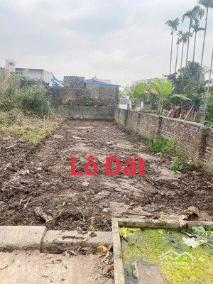 bán lô đất 77m2 chính chủ tại câu trung quang hưng an lão ( an quang ) hải phòng