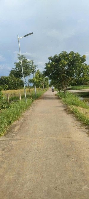 bán đất khu phố thọ phú 1 - 139,7m2 - sổ riêng, full thổ cư, đất vuông vức, đường bê tông.