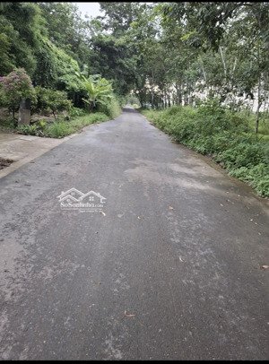 bán 3,138m2 đất đường dt748, an lập dầu tiếng, bình dương, đã có 3,004m2 skc