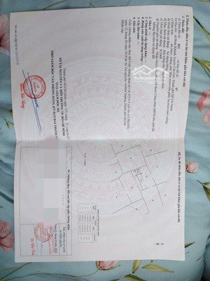 cần bán xã bình khánh cần giờ dt 194m có sẵn thổ cư 150m. pháp lý sổ hồng riêng.