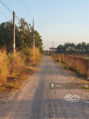 bán đất thổ cư gò dầu giá rẻ, đất bằng ngang 100m dường xe tải lớn chạy