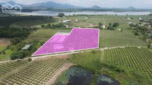 bán gấp 10950m2 có sẵn 200m2 thổ cư, hẻm đinh công tráng, tân tiến, lagi. giá rẻ chỉ 500/1m2