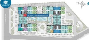 bán gấp căn hộ vũng tàu pearl giá tốt nhất thị trường