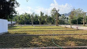 lô đất khu dân cư chợ bãi xe nam thượng, kim bôi, hòa bình