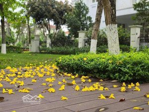 [home&land] tổng hợp quỹ căn liền kề cho thuê tại dự án spkendora ( mailand hanoi city)