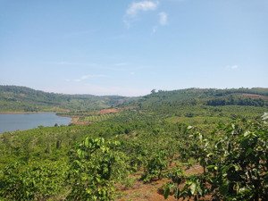 chính chủ cần bán 2ha (20.000m2) giá 4,2 tỷ đất mặt tiền đường bê tông, 1 mặt giáp hồ đăk r''tih.