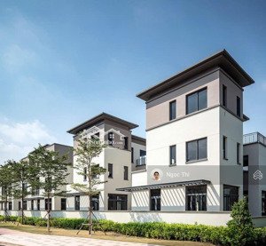 cập nhật rổ hàng swanpark tháng 1.2026, giỏ hàng đa dạng, giá tốt, vị trí đẹp, pháp lý rõ ràng