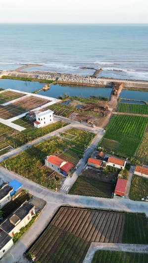 dồn tiền trả nợ . em bán gấp 5 lô đất biển kkt ninh cơ thịnh long và quất lâm