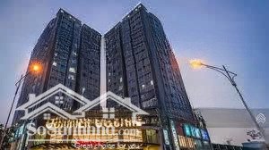 cho thuê căn hộ sunmer square,số 243, tân hòa đông, phường 14, quận 6,diện tích: 76 m2 .