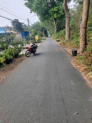 bán đất chính chủ 297 bàu lách, ấp 4, phạm văn cội, củ chi